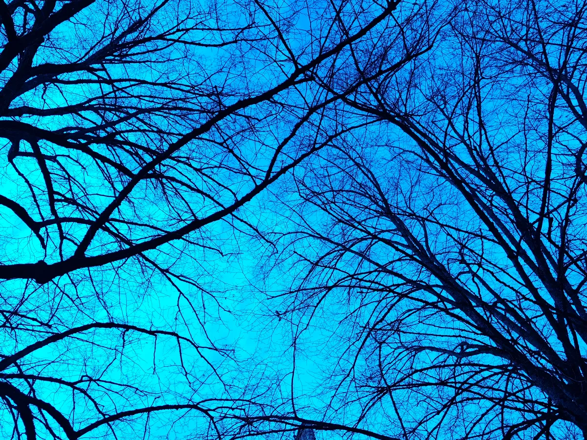 Turrets in blue winter light