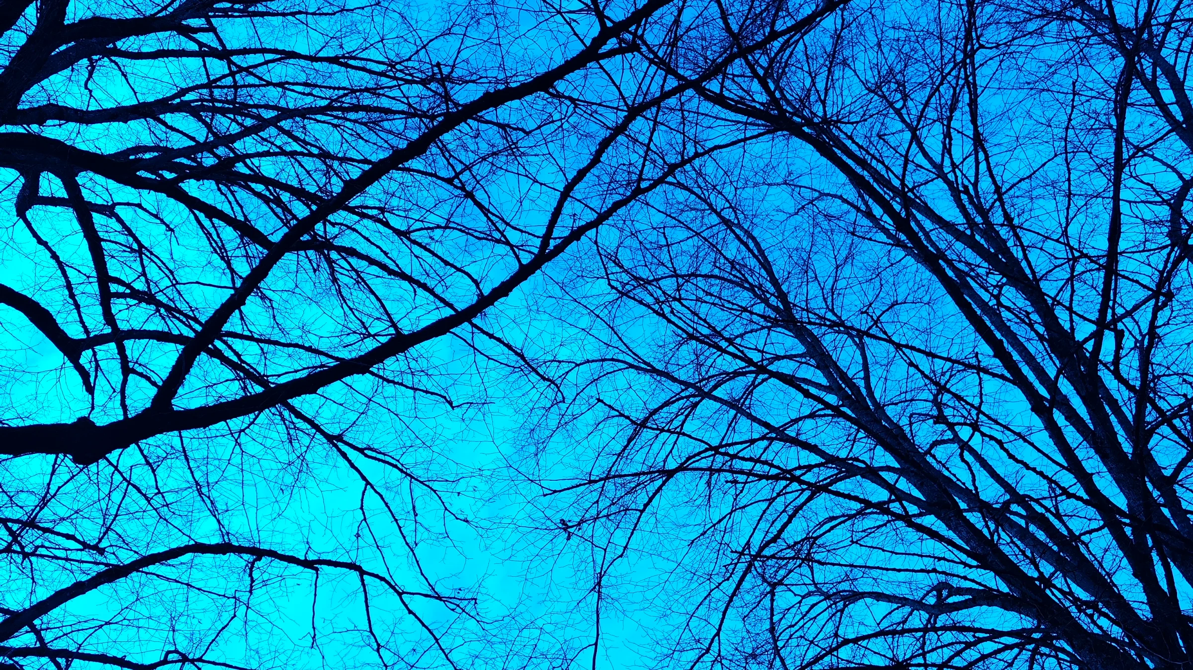 Château turrets rising against a cold winter blue sky, centuries of heritage captured in stone and slate