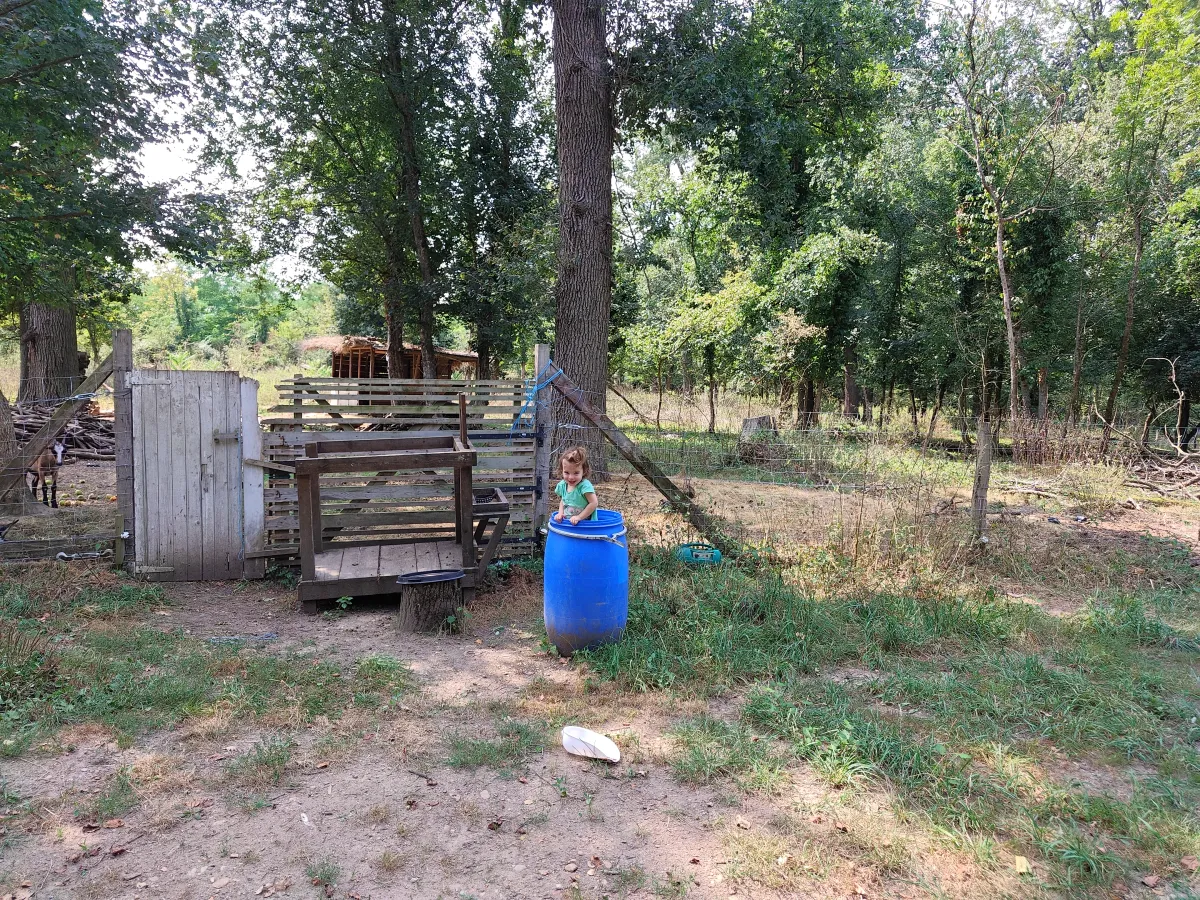 Child playing on the estate farm