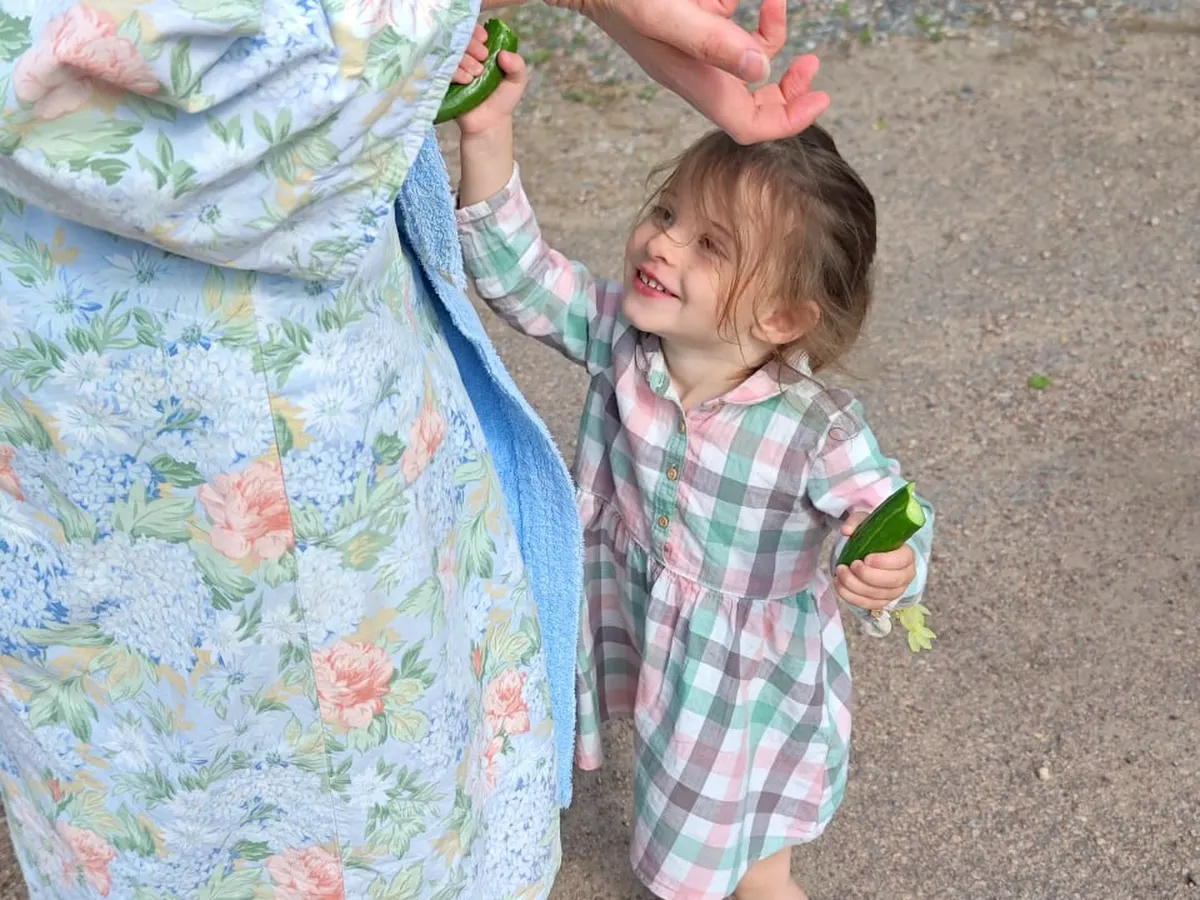 Child reaching for fruit in the orchard