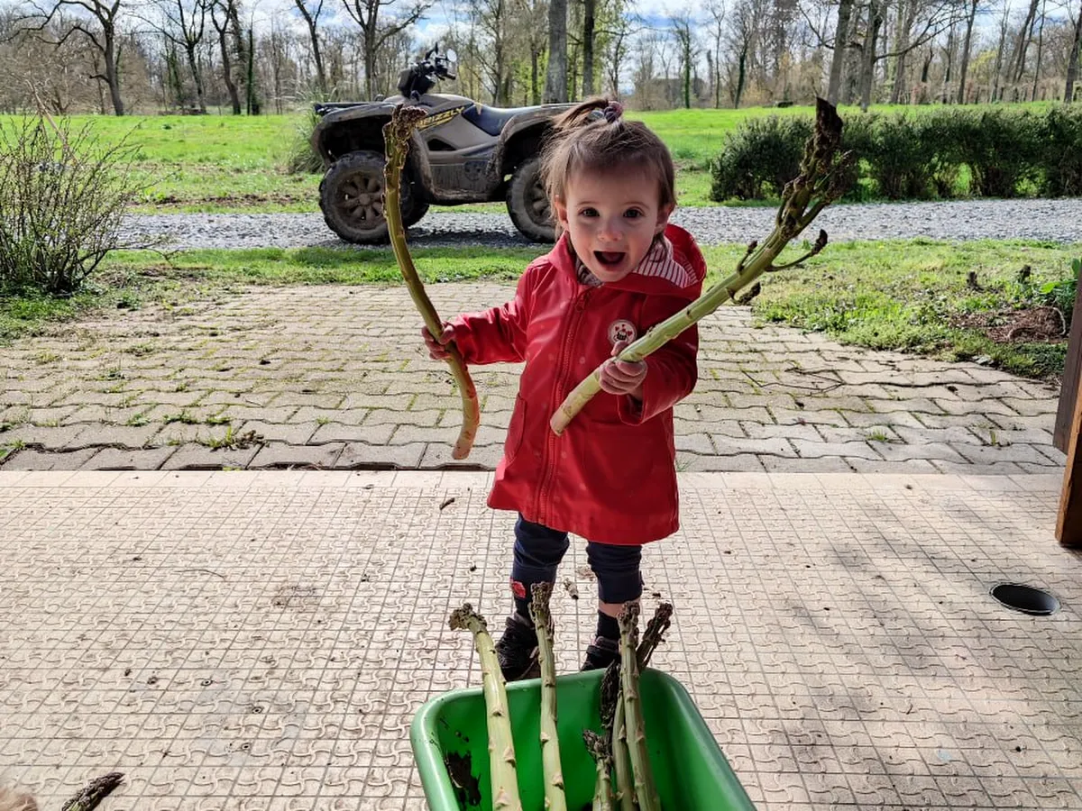 Child with wheelbarrow in the garden