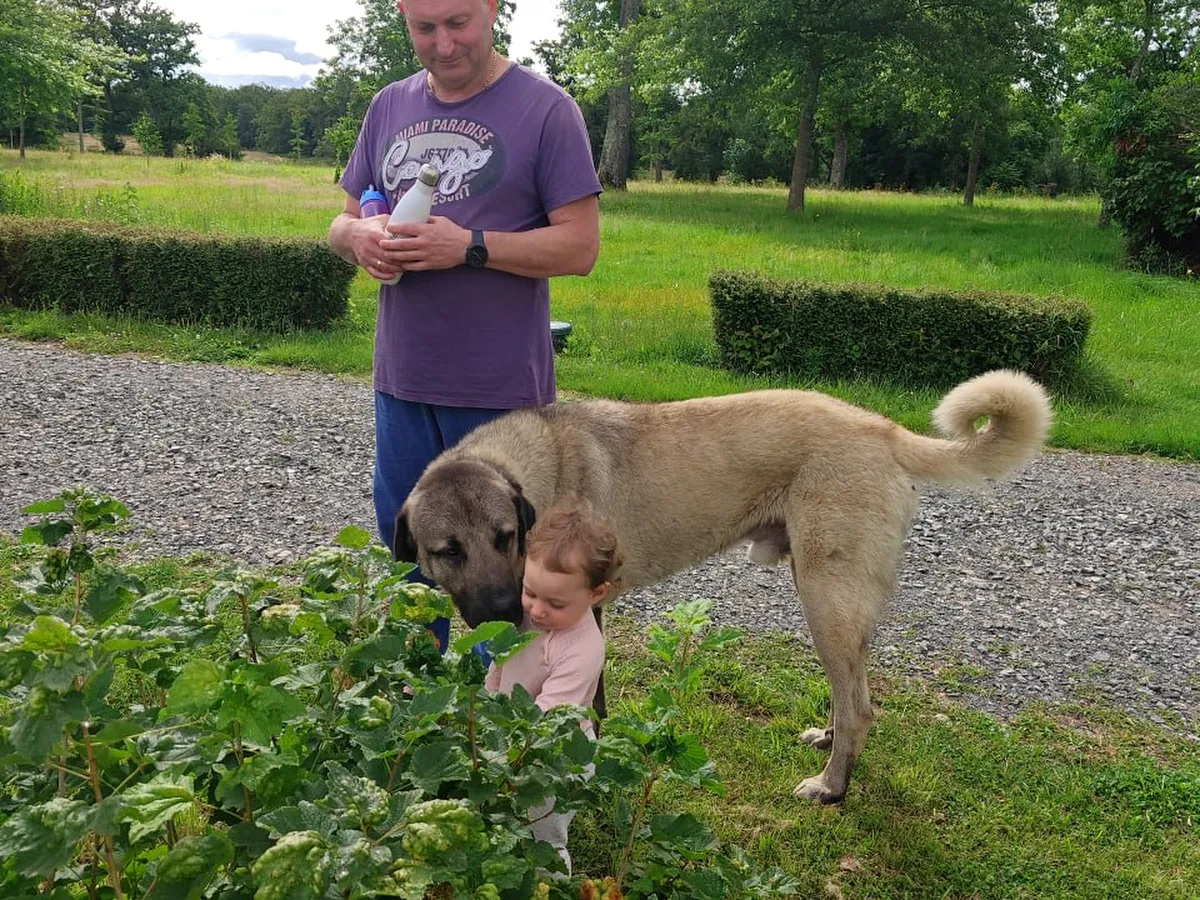 Family walking together along a sun-lit path near the château