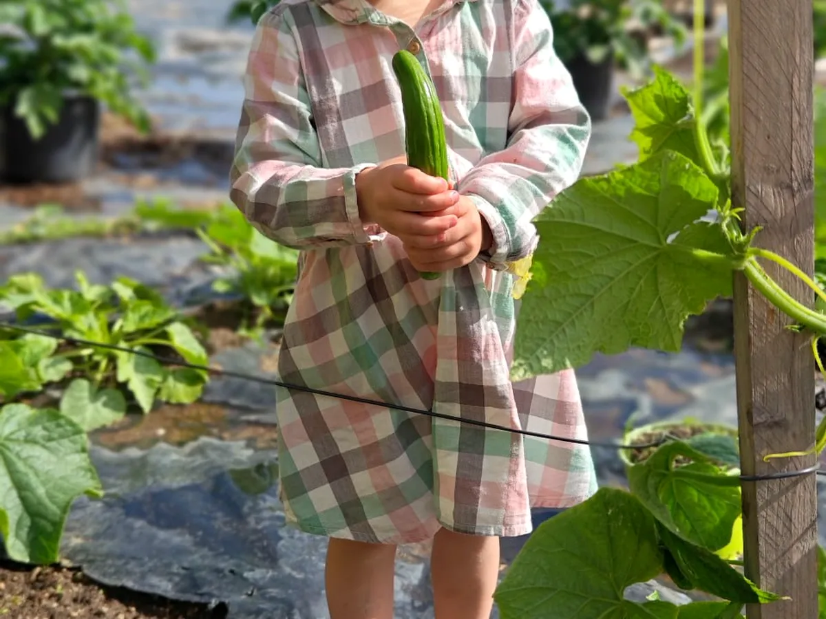 Fresh harvest ready for cooking