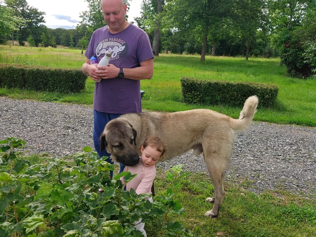 Family walk with the estate dog