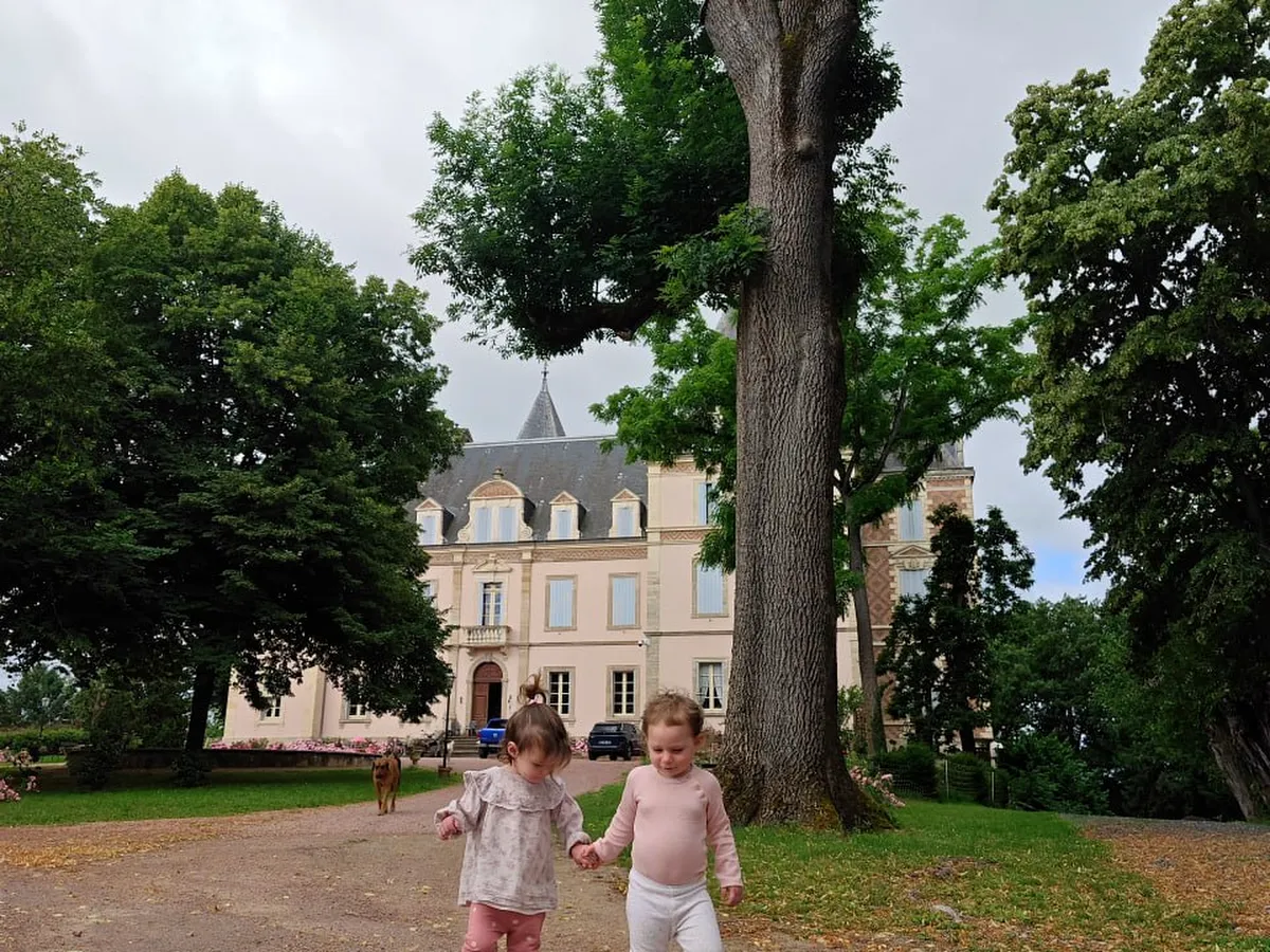 Kitchen Garden Harvest