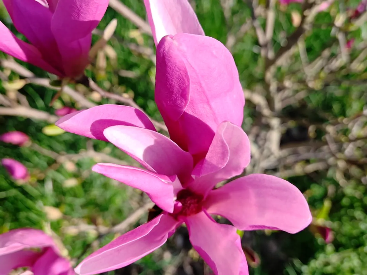 Workshops & Creative Residencies