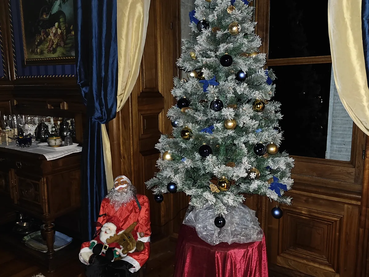 Grand reception rooms with crystal chandeliers and herringbone parquet