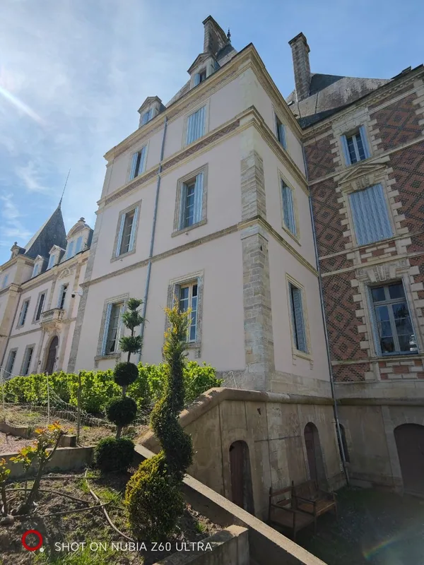 Clipped topiary in the garden below the facade