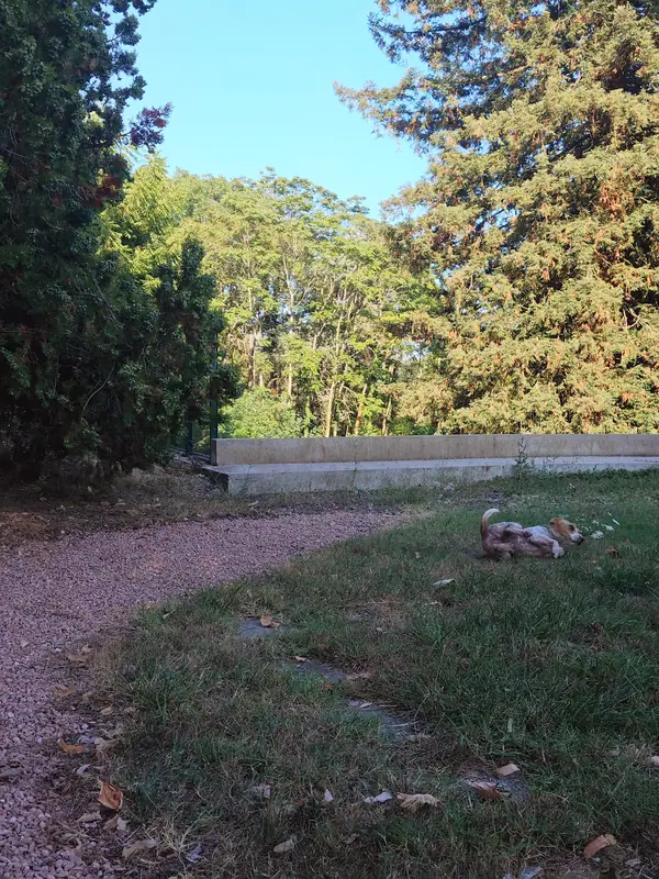 A gravel path running along the edge of the estate lawn