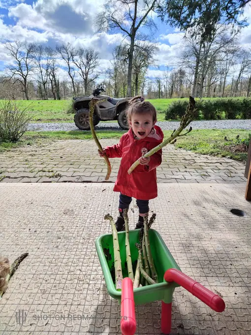 A toddler standing happily in a red wheelbarrow on the estate path