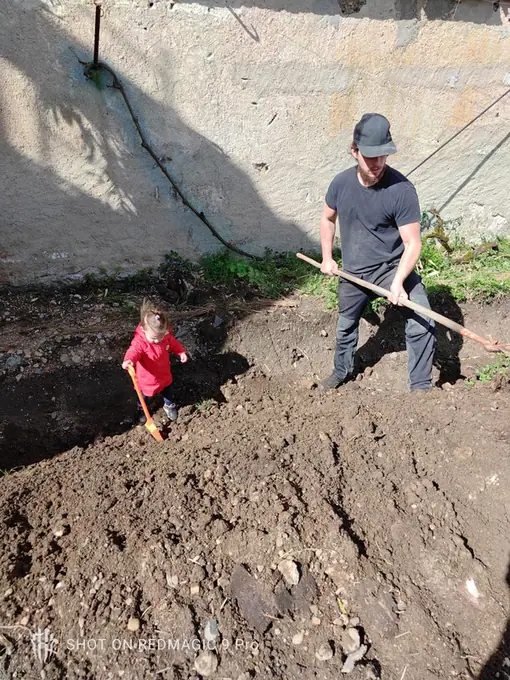 An adult and a small child digging together in freshly turned soil