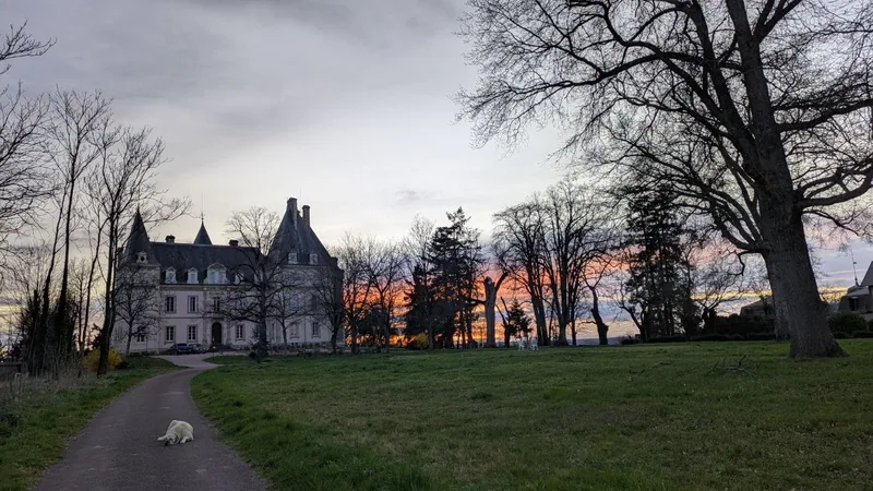 Dusk falling over the driveway leading to the chateau