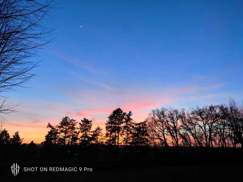 A pink and orange sunset burning behind the bare winter treeline