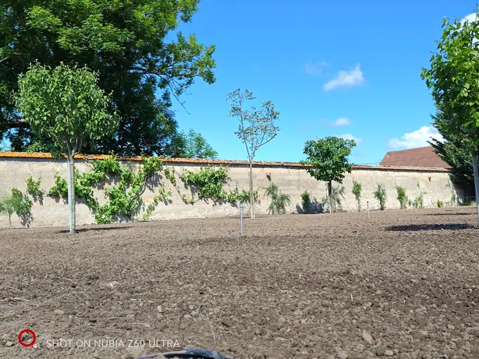The walled garden cleared and levelled, ready for planting