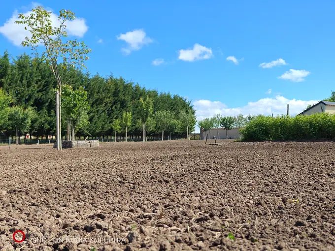 Ground being prepared inside the historic walled garden