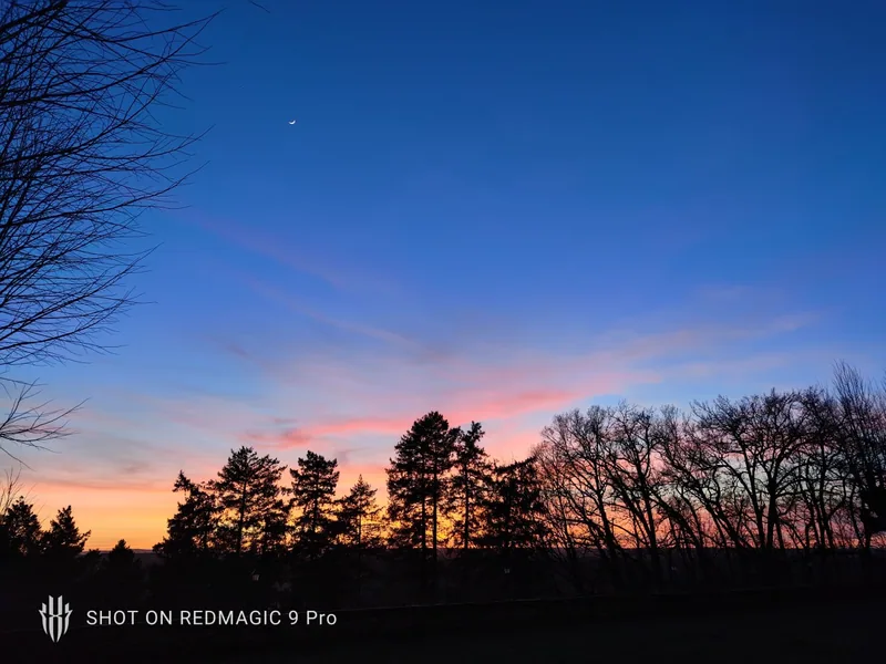 A pink and blue sunset over the estate treeline