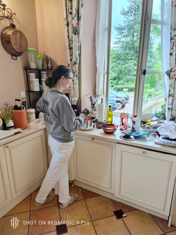 Preparing a meal in the chateau kitchen with the park visible through the window